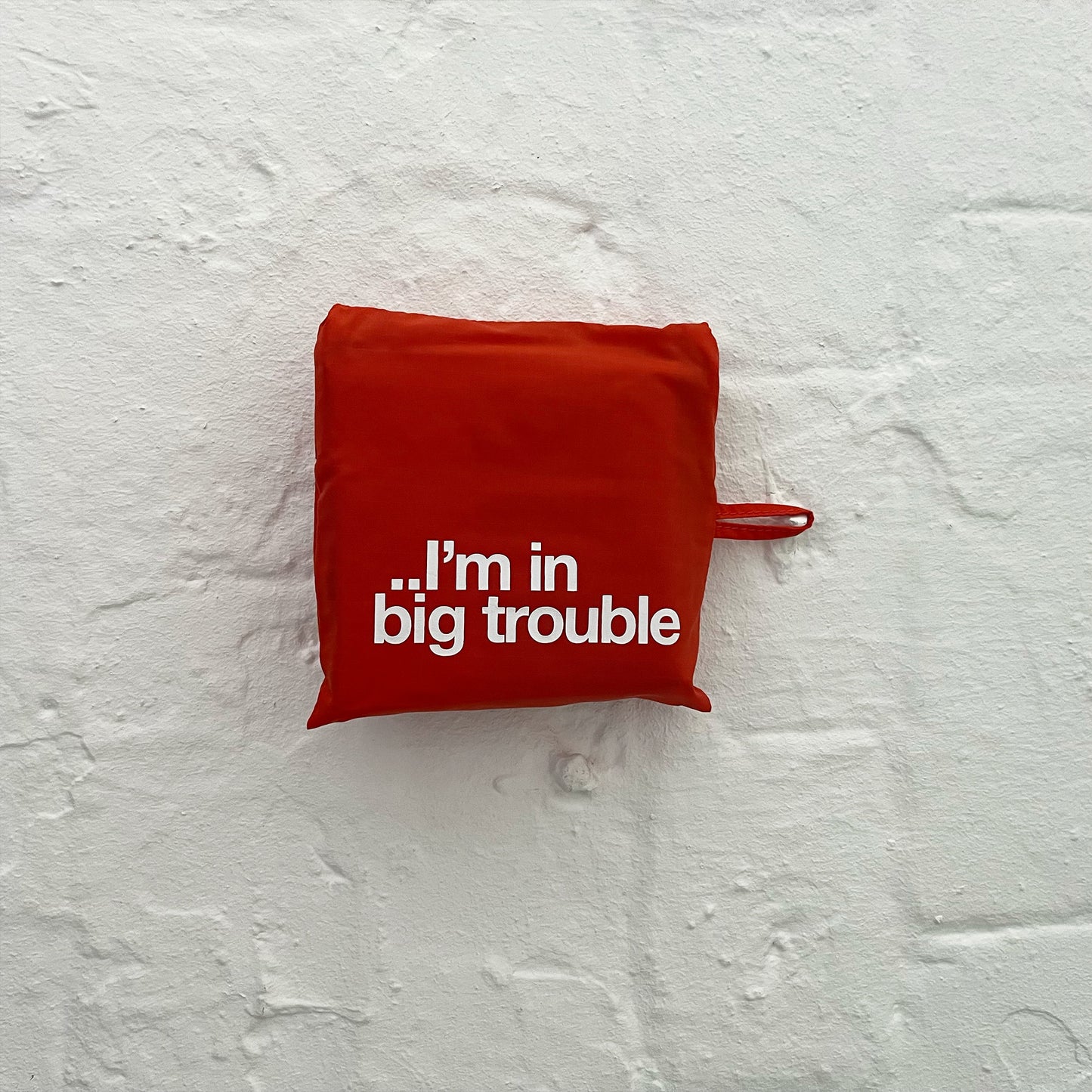 Special 1 Baggu - Red